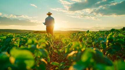 gran-consumo-agroalimentos-6