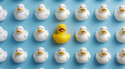 patos